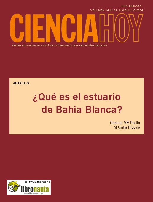 Cover image for ¿Qué es el estuario de Bahía Blanca?